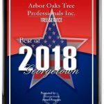 Arbor Oaks Tree Professionals Inc Logo