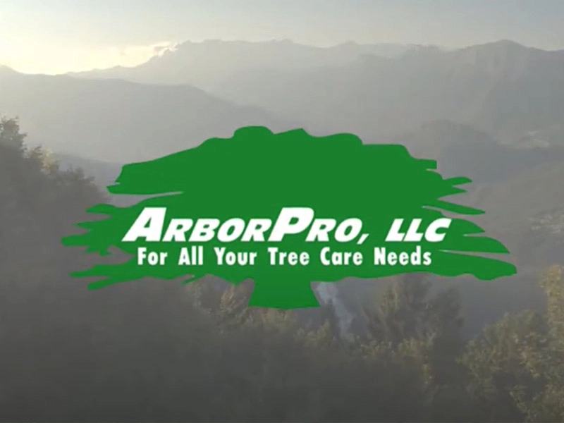 Arbor Pro, LLC Logo