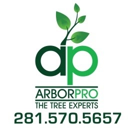 Arbor Pro The Tree Experts Logo