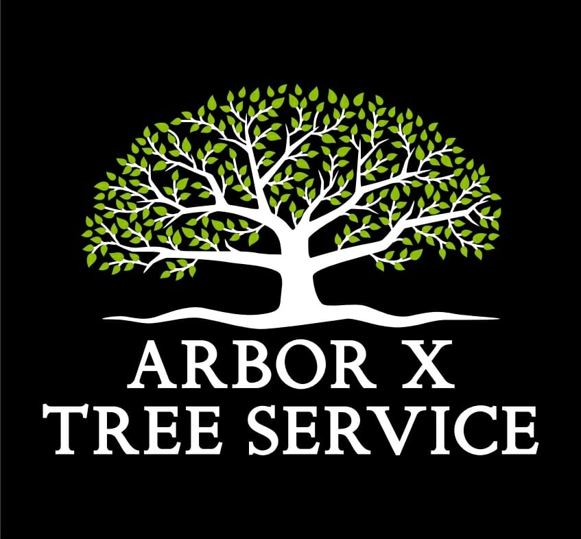 Arbor X Tree Service Logo