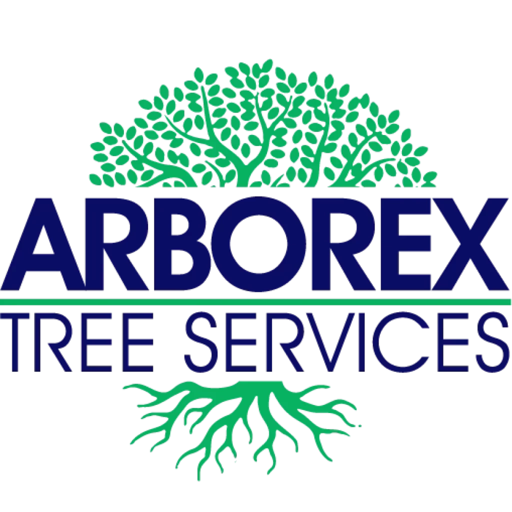 Arborex Tree Services Logo