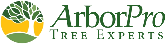 ArborPro Tree Experts Logo