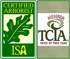 ArborTrue Tree Service Logo