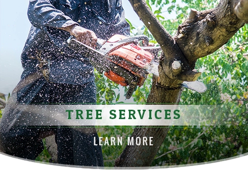Arnoldo's Tree Service Logo