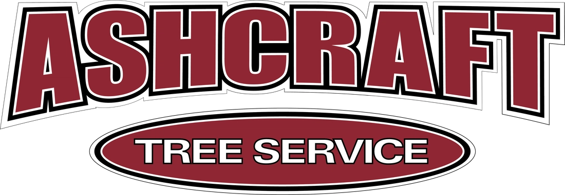 Ashcraft Tree & Shrub Services Logo