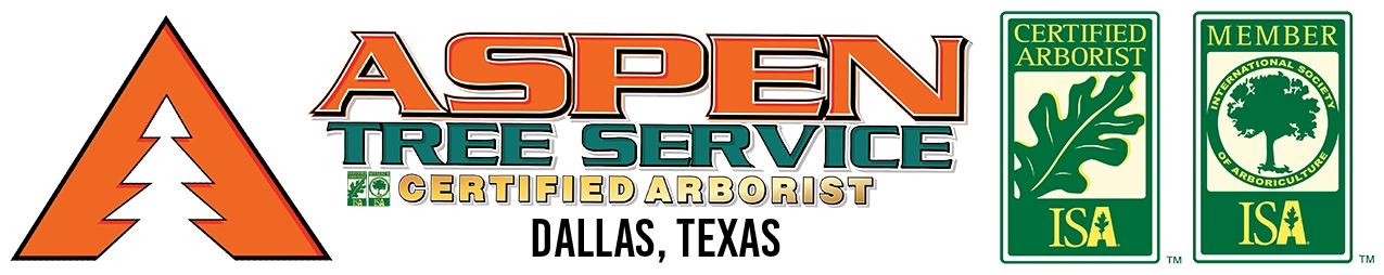 Aspen Tree Service Logo