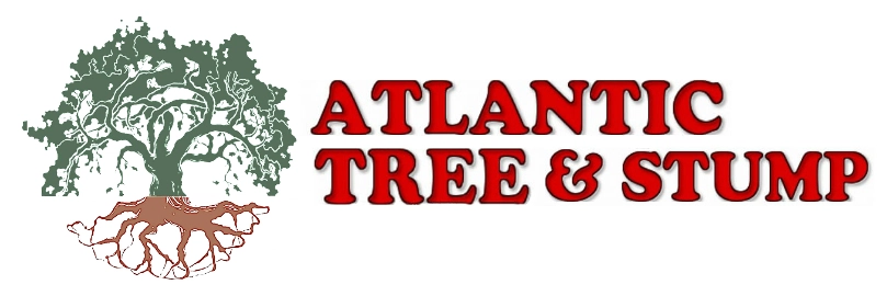 Atlantic Tree & Stump, LLC Logo