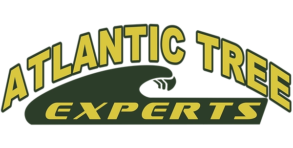 Atlantic Tree Experts Logo