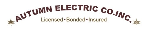 Autumn Electric Co. Inc. Logo