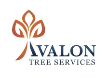 AVALON TREE SERVICES LLC. Logo