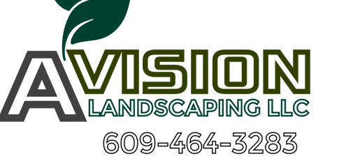 A Vision Lawn Care & Landscaping LLC Logo