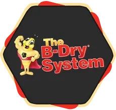 B-Dry System of Michigan Inc Logo