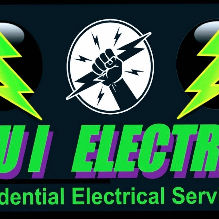 B U I Electric LLC Logo