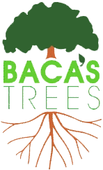 Baca's Trees Logo