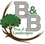 B&B Tree and Landscapes LLC Logo