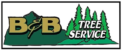 B&B Tree Service Inc Logo