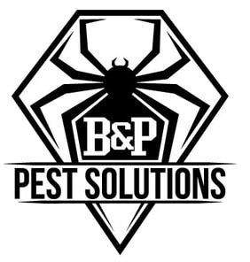 B&P Pest Solutions LLC Logo