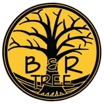 B&R Tree Care Logo