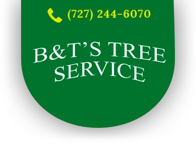 B&T's Tree Service Logo