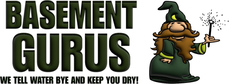 Basement Gurus Logo
