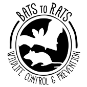 Bats to Rats LLC - Wildlife Control and Prevention Logo