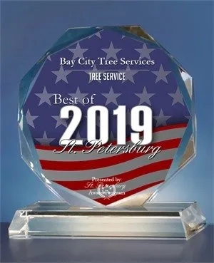 Bay City Tree Services Logo