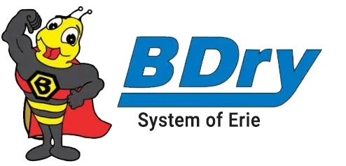 BDry System of Erie Logo