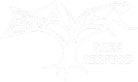 Beaver Tree Service LLC Logo