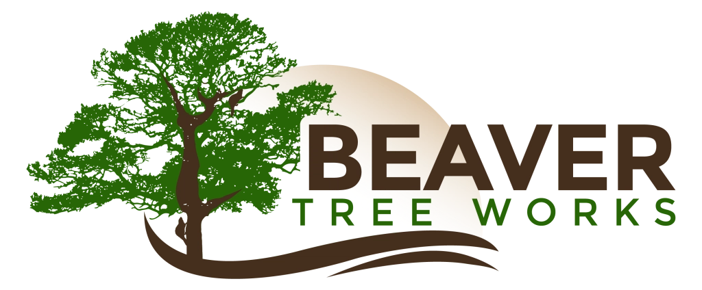Beaver Tree Works Logo