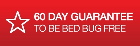 Bed Bug Guys Logo