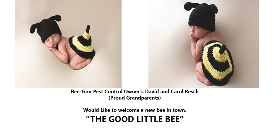 Bee-Gon Pest Control Logo