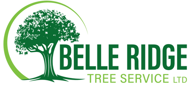 Belle Ridge Tree Service LTD Logo