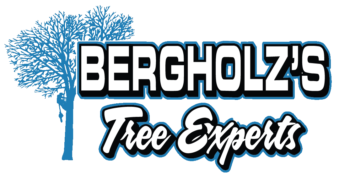 Bergholz's Tree Experts Logo