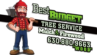 Best Budget Tree Service Firewood & Mulch Logo