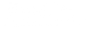 Best Movers US Logo