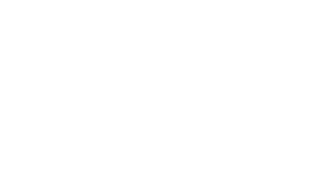 Best Value Plumbing & Rooter Logo