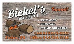 Bickel's Tree Service LLC Logo