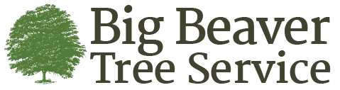 Big Beaver Tree Service Inc Logo