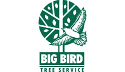 Big Bird Tree Service Logo