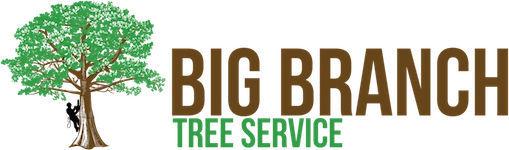 Big Branch Tree Service Logo