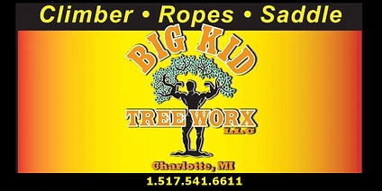 Big Kid Tree Worx Logo