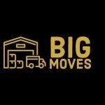 Big Moves LLC Logo