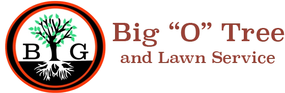 Big O Tree and Lawn Service Logo