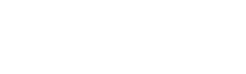 Big River Pest Control Logo