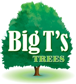 Big T's Trees Logo