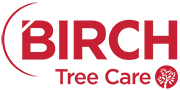 Birch Tree Care Logo