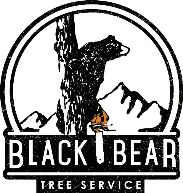 Black Bear Tree Service Logo