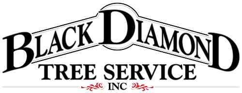Black Diamond Tree Service, Inc Logo