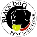 Black Dog Pest Solutions Logo