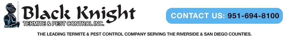 Black Knight Termite and Pest Control Logo